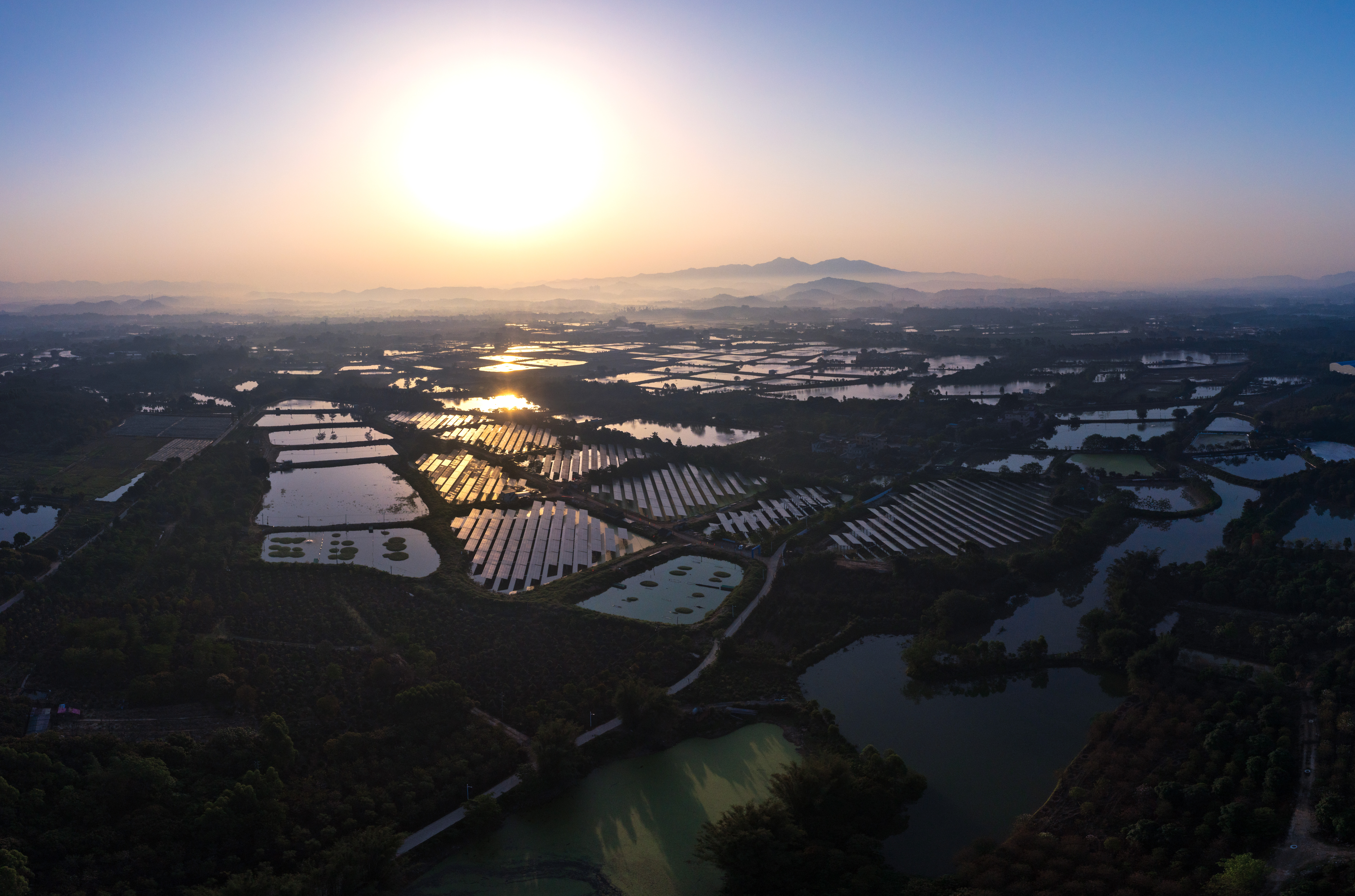 《熠熠生輝》圖組 (2).jpg